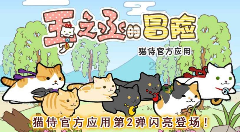 刚免职的鲍炳章,官宣被查